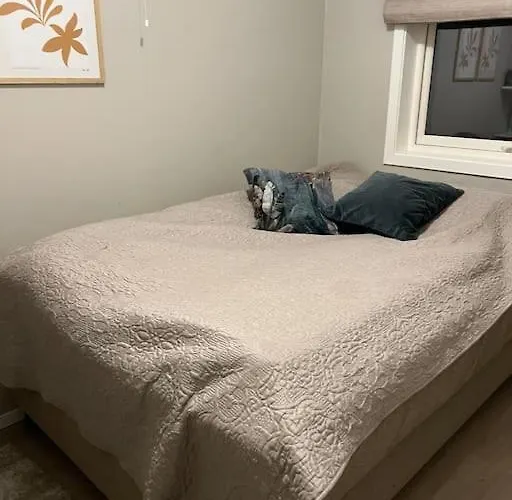 Northen Light, Aurora Tromsø