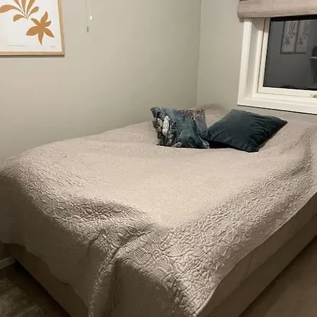 Northen Light, Aurora Tromsø