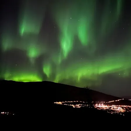 Northen Light, Aurora Tromsø